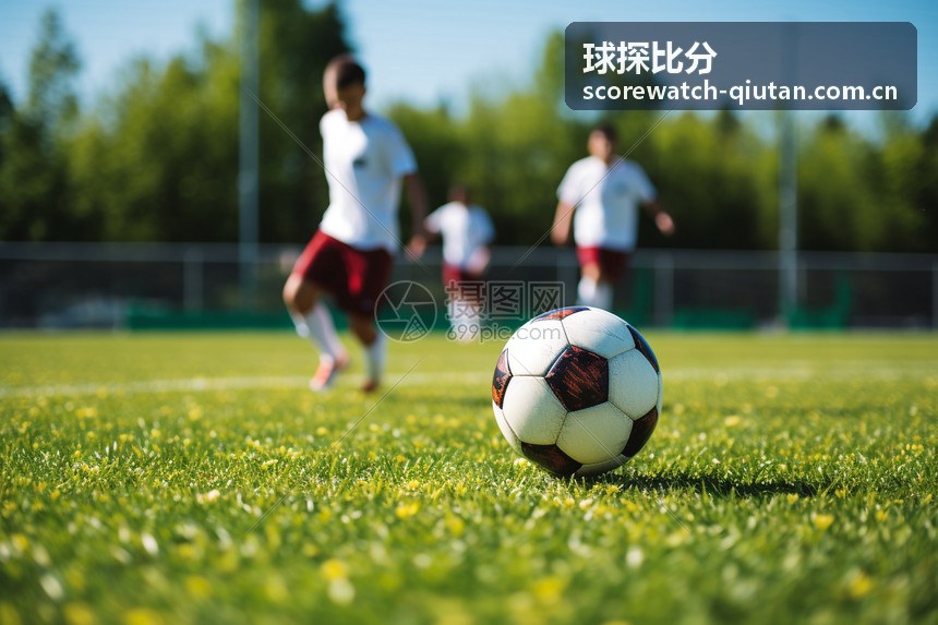 球探比分欧冠英超五大联赛数据解读分析